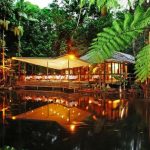 Daintree eco rainforest resorts friendly queensland australia spa green lodge accommodation ecolodge hotels national most world resort forest adventure hotel